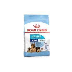 Royal Canin Maxi Starter Dry Food - 4 KG