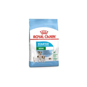 Royal Canin Mini Starter Dry Food - 1 KG