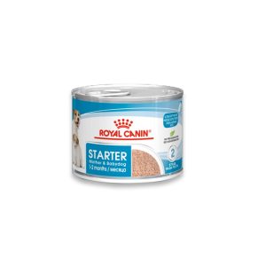Royal Canin Starter Mousse Can Wet Food