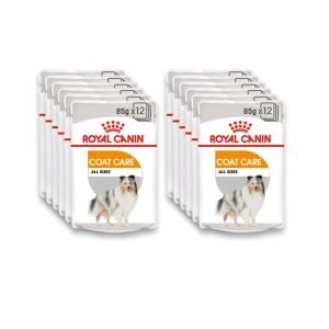 Royal Canin Coat Care All Sizes Adult Wet Food