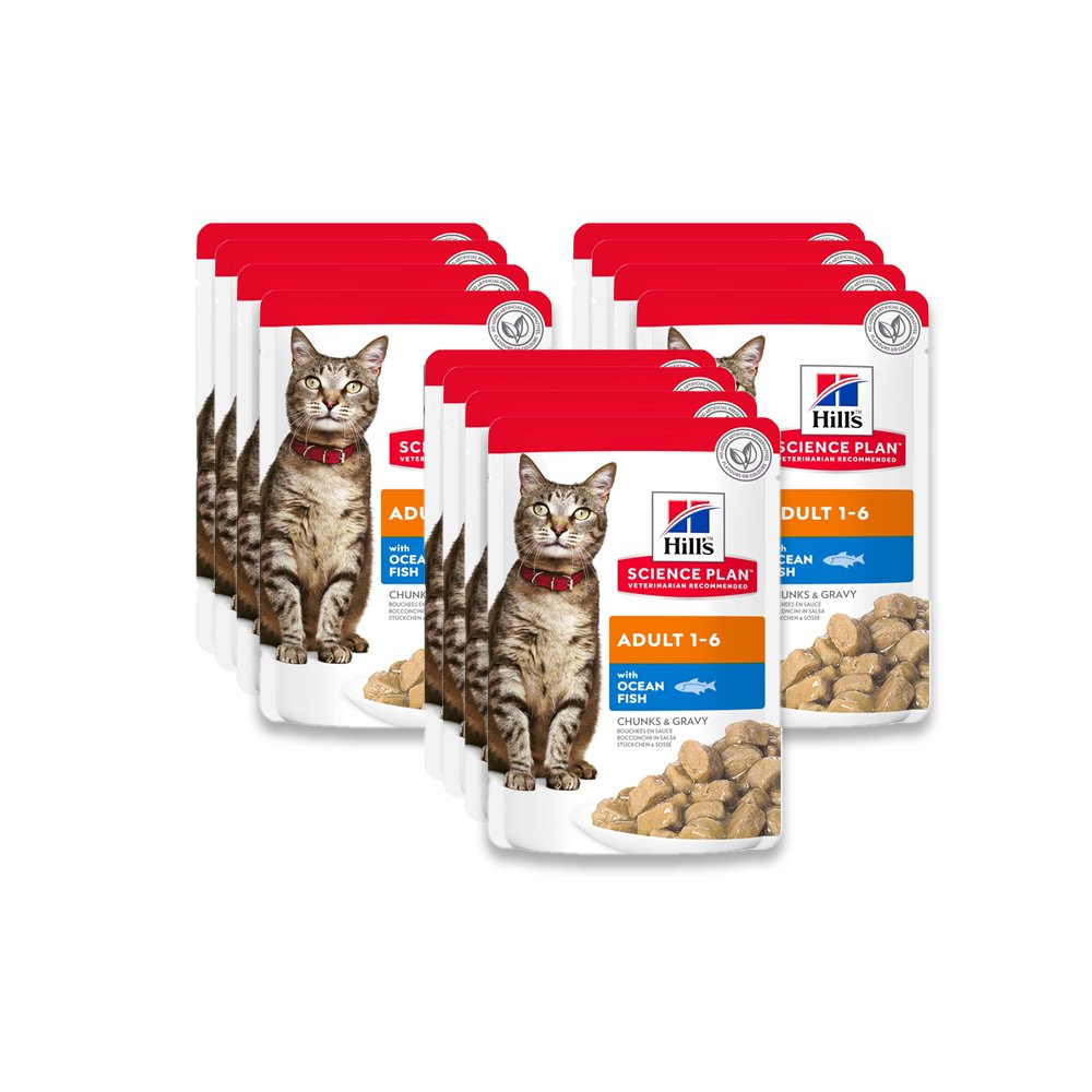 Hill'S Science Plan Adult Ocean Fish Food - (12 X 85G)