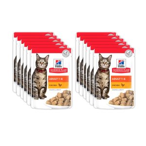 Hills Science Chicken Cat Food Standard - 85 G (Pack Of 12)