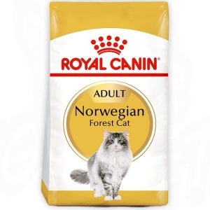 Royal Canin  Norwegian Forest Cat Adult - 2 KG
