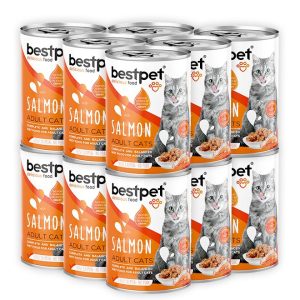 Bestpet Delicious Salmon Chunk Gravy For Adult Cat - 400G (Pack Of 12)