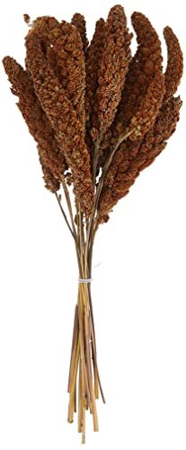 Zolux Red Anjou Millet - 250 G
