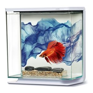 Hagen Marina Betta Kit 3L - Blue