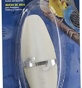 Living World Cuttlebone White Small Calcium Supplement For Breeding Birds